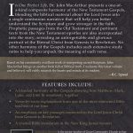 One Perfect Life - Image 2