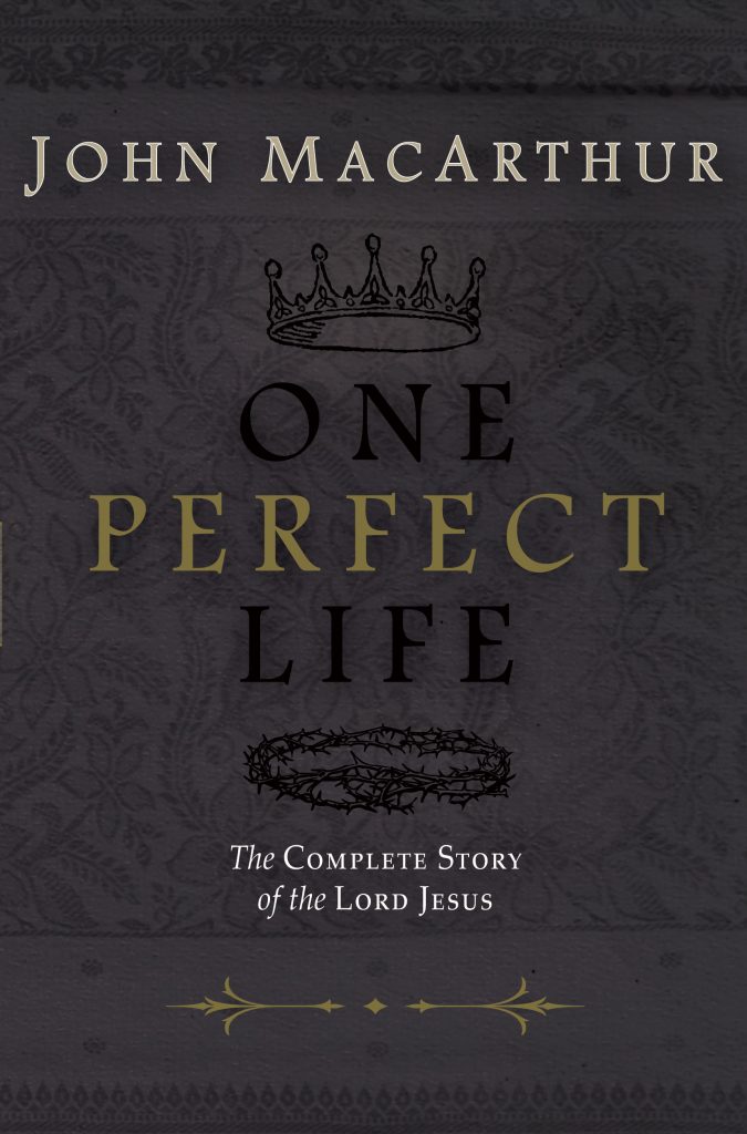 One Perfect Life