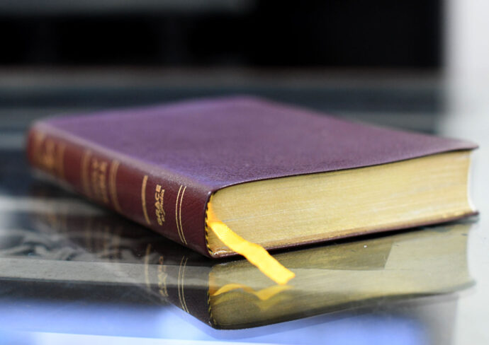 Genuine Leather Bible - World English Bible (WEB), Readers' Edition - Image 2