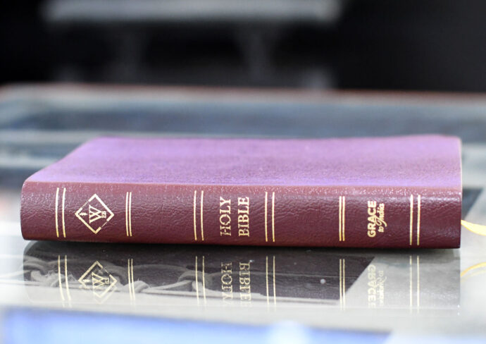 Genuine Leather Bible - World English Bible (WEB), Readers' Edition - Image 3
