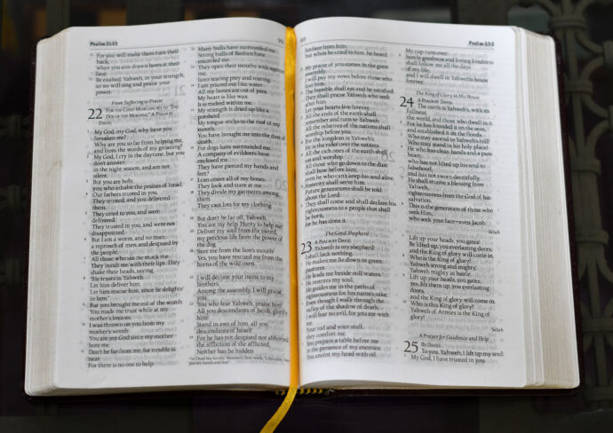 Genuine Leather Bible - World English Bible (WEB), Readers' Edition - Image 4
