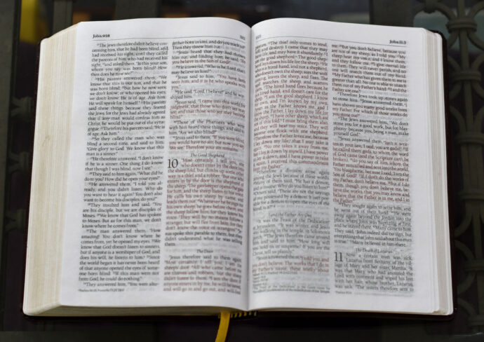 Genuine Leather Bible - World English Bible (WEB), Readers' Edition - Image 5